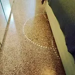 Adriana باري